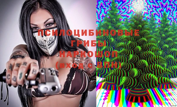 прущая мука Белокуриха