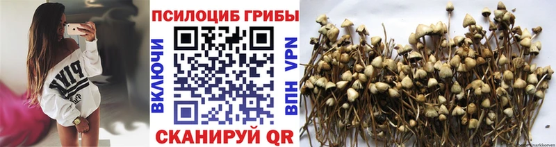 продажа наркотиков  Вельск  Галлюциногенные грибы мухоморы 