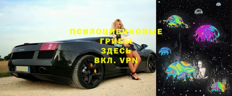 Галлюциногенные грибы ЛСД  shop клад  Вельск 