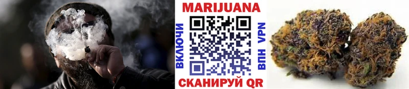 Бошки Шишки план  закладки  Вельск 
